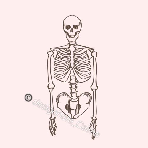 skeleton